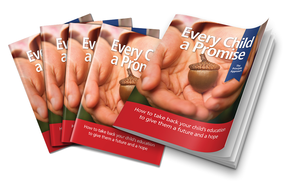 Every Child A Promise: The Principle Approach (Pack of 100)