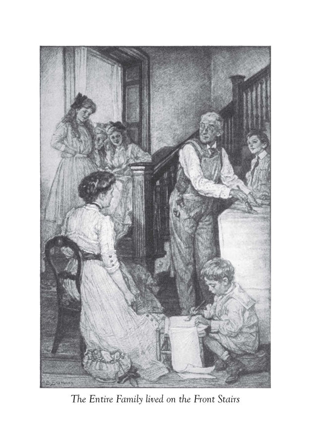 Mother Carey's Chickens - Image 7